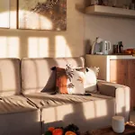 Bahia Apartament Icod De Los Vinos